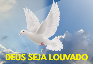 P1.png